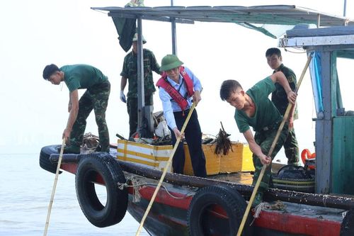 Quảng Ninh: Quyết tâm trả lại vịnh Hạ Long xanh - sạch - đẹp hậu bão Yagi