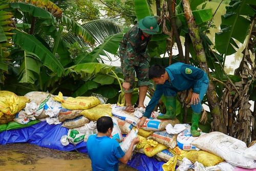 Đê bối sông Lèn gặp sự cố, Thanh Hóa khẩn trương ứng phó