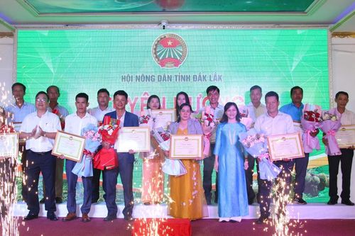 Đắk Lắk tôn vinh nông dân xuất sắc năm 2024