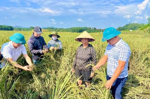 Tuyên Quang: Dồn lực khắc phục thiệt hại và giúp người dân sớm ổn định đời sống sau cơn bão số 3