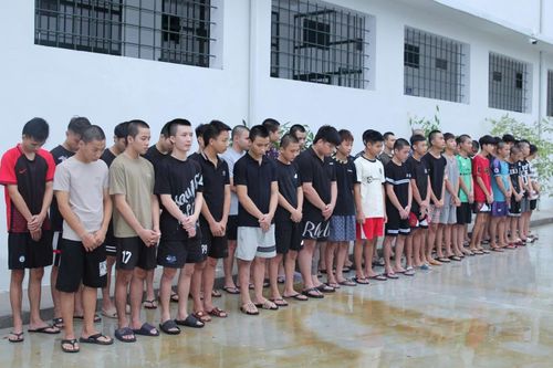'Báo thủ' rủ nhau quậy phá