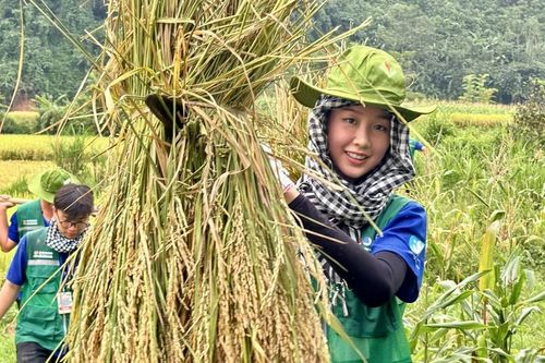 Hoa hậu Bảo Ngọc gặt lúa, lội bùn hỗ trợ bà con dựng nhà sau lũ