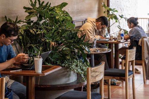 Thị trường trà sữa ngày càng bão hòa, các thương hiệu tranh giành nhau 'miếng bánh' thị phần