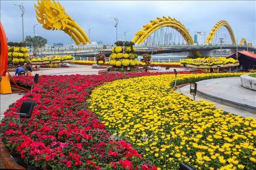 Đà Nẵng đầu tư hơn 18,6 tỷ đồng trang trí hoa và ánh sáng cho Tết 2025