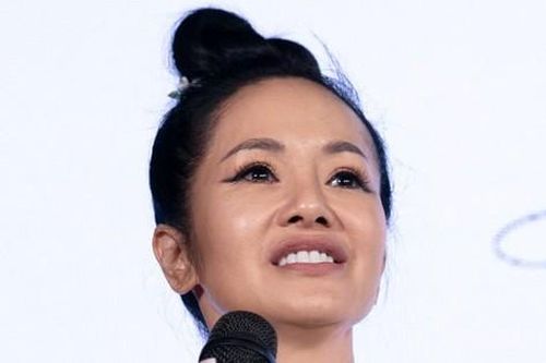 Diva Hồng Nhung: 'Tôi không còn là ca sĩ nữa'