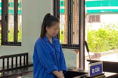 Hứa trả 'hoa hồng' cao để chiếm đoạt hơn 3,2 tỷ đồng
