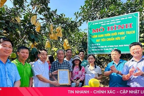 Hà Tĩnh: Gần 100 ha cây trồng được cấp chứng nhận hữu cơ