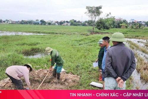 Nông dân Lộc Hà tiêu diệt gần 35 nghìn con chuột