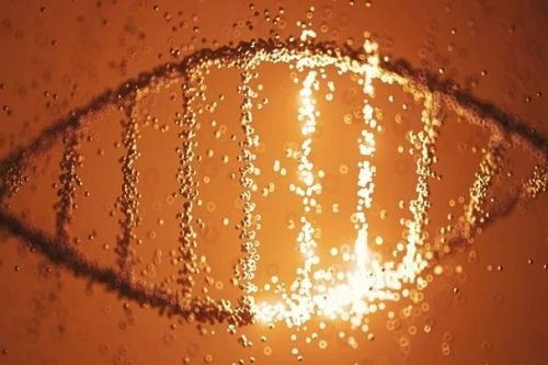 Tái tạo thành công bộ gene người cổ xưa nhất tại Nam Phi