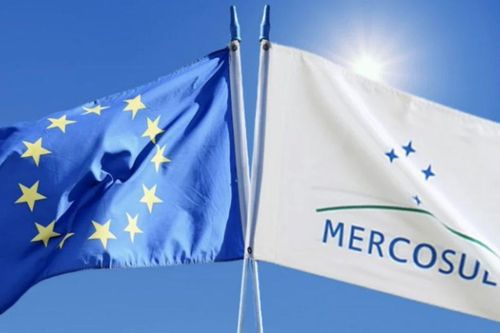 Nghị viện Nam Mỹ khuyến nghị loại dầu ôliu khỏi đàm phán với EU
