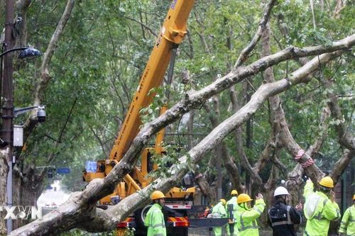 Hơn 430.000 người bị ảnh hưởng do mưa bão Bebinca tại Trung Quốc