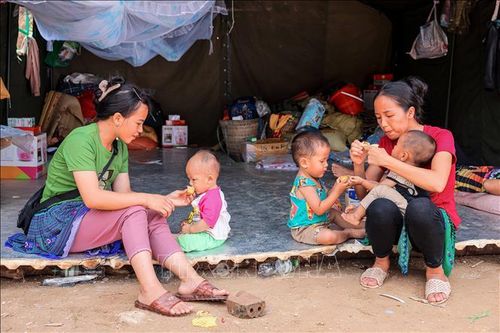 Lào Cai mở đợt thi đua chung tay khắc phục hậu quả bão số 3