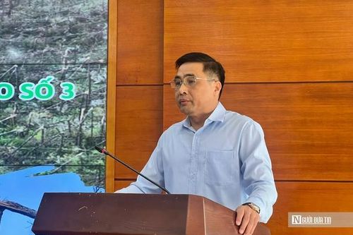 Rừng tự nhiên bị thiệt hại sau bão có được khai thác không?