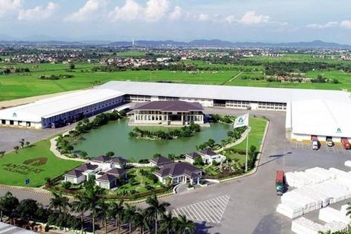 Lãnh đạo An Phát Holdings thoái vốn hàng loạt trước thềm ĐHĐCĐ bất thường