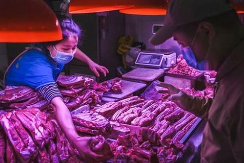 Công bố mới về loài động vật là nguồn gốc phát tán đại dịch COVID-19