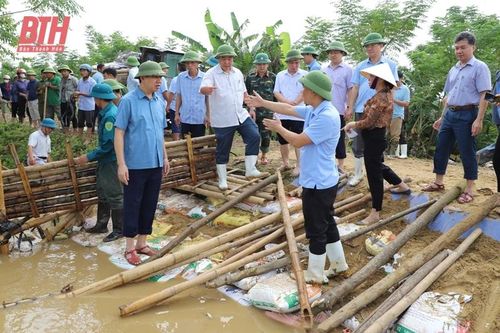Phó Chủ tịch UBND tỉnh Lê Đức Giang kiểm tra, chỉ đạo khắc phục sự cố đê bối ở huyện Hậu Lộc