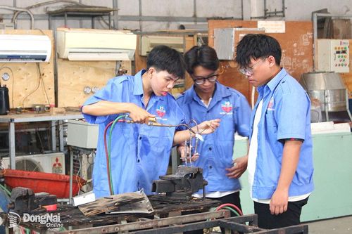 Tập trung phát triển nguồn nhân lực chất lượng cao