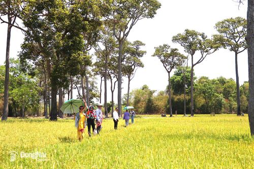 Đồng Nai cần thêm các chuỗi sản phẩm du lịch