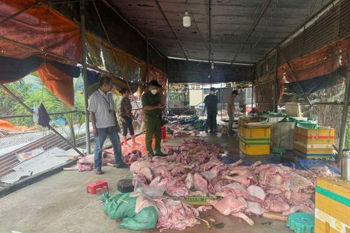 Phát hiện hơn 3,3 tấn thịt heo thối chuẩn bị tuồn ra thị trường