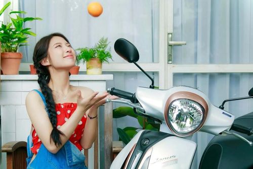 Yamaha Janus giá từ 30 triệu đồng, lựa chọn hàng đầu cho phái nữ