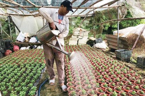 Nhanh nhạy trên đồng ruộng