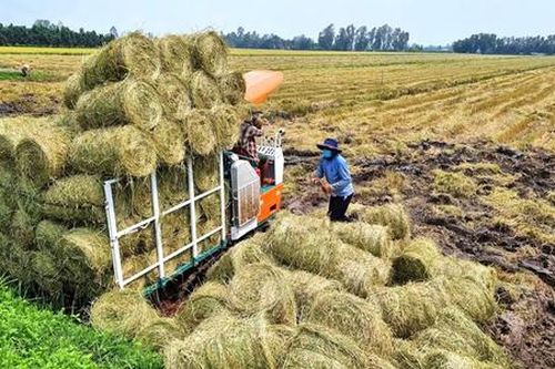 Thêm động lực để HTX có 'cuộc cách mạng' sản xuất tuần hoàn