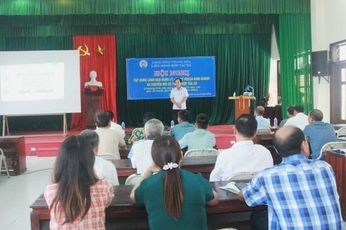 Nâng cao 'năng lực số' cho các HTX