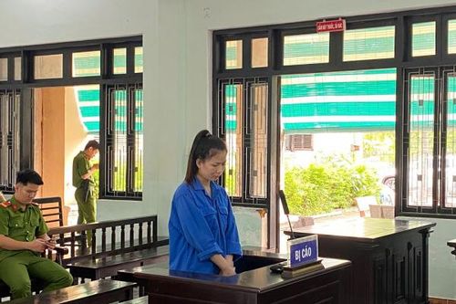 9 năm tù dành cho chủ sạp trái cây từng lừa chiếm hơn 3,2 tỷ đồng