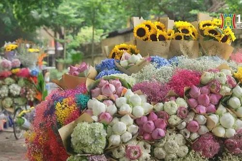 Những chiếc xe hoa chở mùa thu Hà Nội