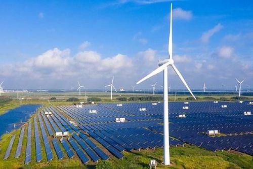 Điện gió Phước Hữu - Duyên Hải 1 báo lỗ gần 46 tỷ đồng trong 6 tháng đầu năm, sạch nợ trái phiếu