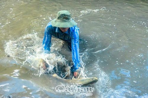 Khai thác đi đôi với bảo tồn