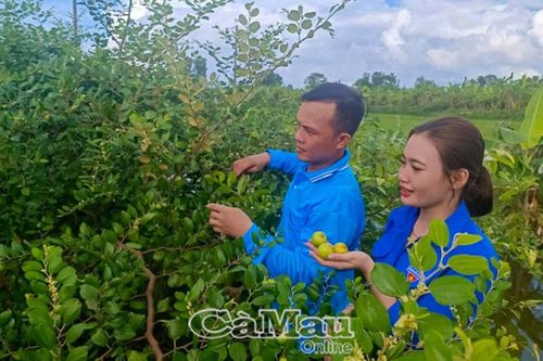 Thanh niên tiên tiến làm theo lời Bác