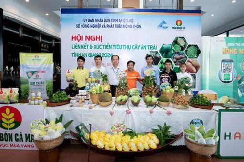 Phân bón Cà Mau tiếp sức cho nông dân đưa trái cây An Giang vươn tầm quốc tế