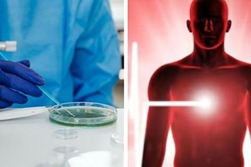 Phát hiện ra 'trạng thái thứ ba' bí ẩn: Có sự tồn tại khác biệt sau khi qua đời?