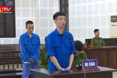 Lĩnh án tù chung thân vì mua bán, tàng trữ 'chất cấm'