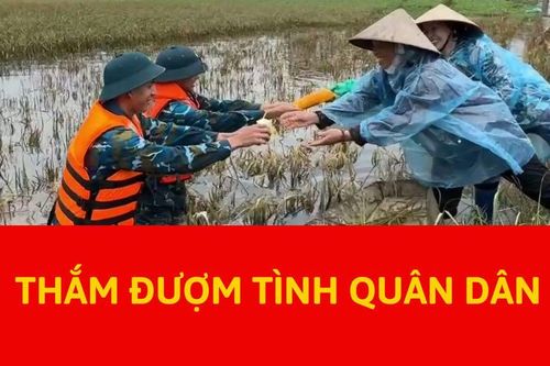 Thắm đượm tình quân dân