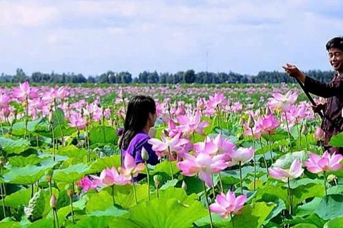 Đồng Tháp sẽ là trung tâm giải pháp chuyển đổi xanh khu vực ĐBSCL