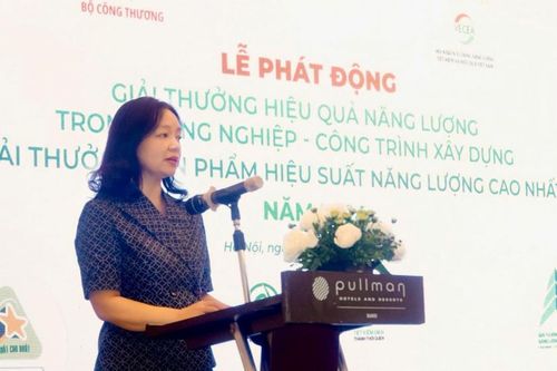 Phát động giải thưởng 'Hiệu quả năng lượng trong công nghiệp-công trình xây dựng năm 2024'