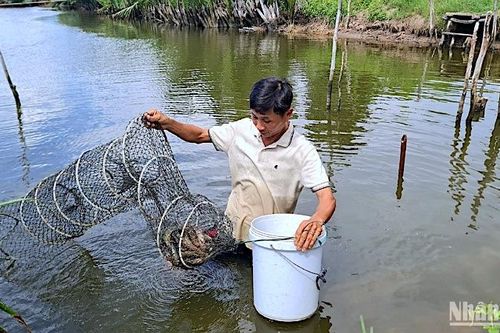 Cà Mau dành hơn 500 tỷ đồng phát triển giáo dục nghề nghiệp
