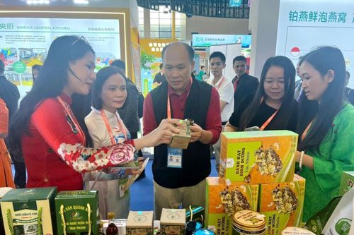 Quảng Nam tổ chức hoạt động quảng bá, xúc tiến du lịch tại tỉnh Quảng Tây