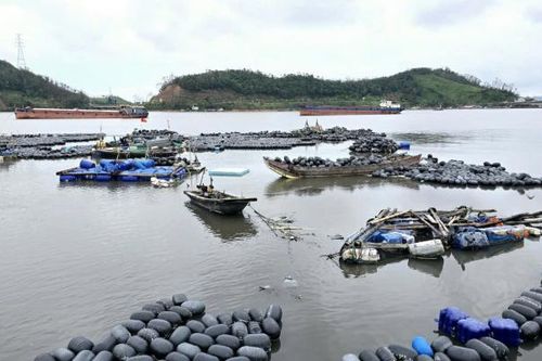 Huyện Vân Đồn: Sẽ hoàn thành giao mặt biển cho người nuôi trồng thủy sản trước ngày 30/9 sau thảm họa