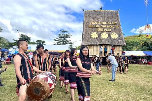 Tuần lễ Hoa dã quỳ - Núi lửa Chư Đang Ya 2024 diễn ra vào đầu tháng 11