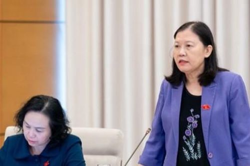 Nhiều người cứ về Việt Nam thì vượt đèn đỏ