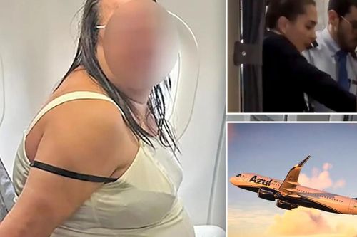 Hô hoán máy bay rơi, nữ hành khách say xỉn nhận 'kết đắng'