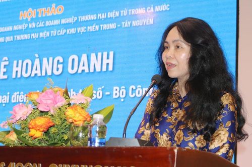 Chuyên gia 'hiến kế' liên kết vùng trong phát triển thương mại điện tử