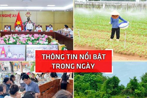 Nghệ An: Thông tin nổi bật ngày 25/9