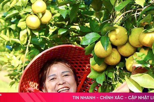 Kỳ vọng của nông dân Hà Tĩnh trước hội nghị đối thoại với lãnh đạo tỉnh