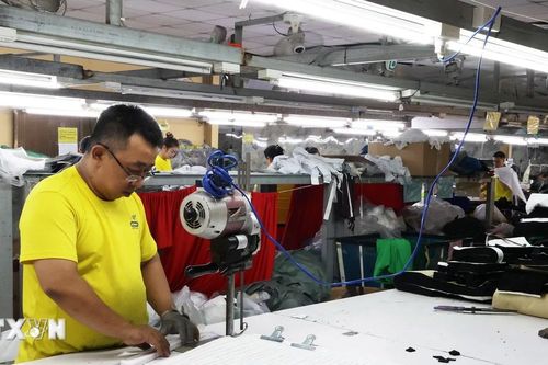 TP Hồ Chí Minh: Khai mạc chuỗi Triển lãm chuyên ngành dệt và may Việt Nam