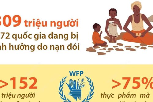 Số liệu về an ninh lương thực toàn cầu