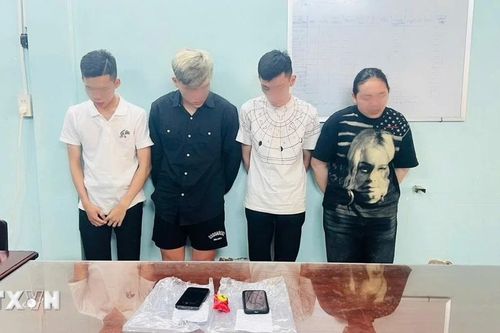 An Giang: Bắt tạm giam 4 đối tượng tổ chức sinh nhật bằng ma túy